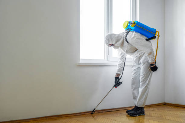 Best Wasp Removal Services  in Mar Mac, NC