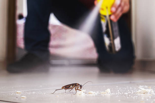 Best Best Pest Control Companies  in Mar Mac, NC